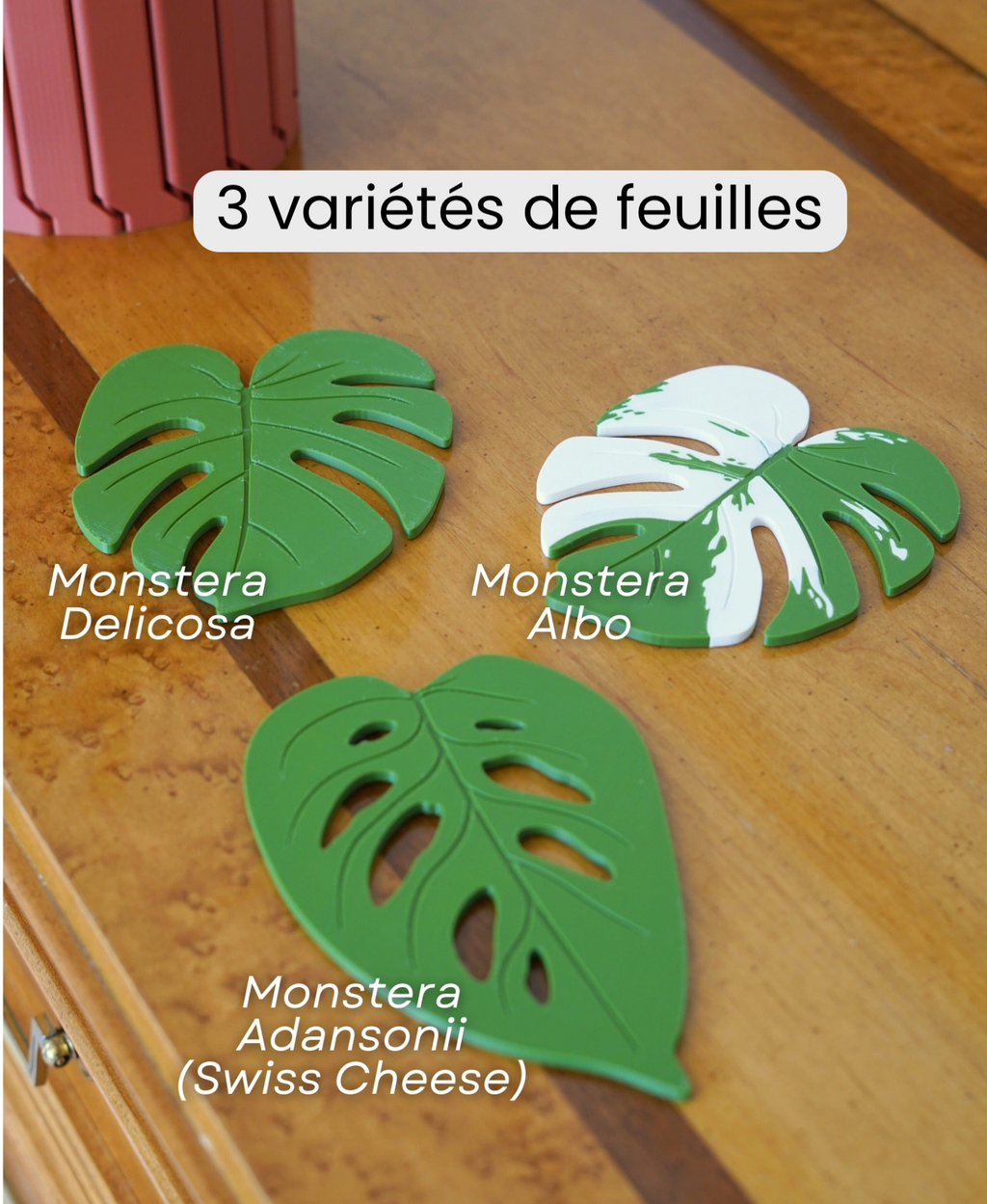 Dessous-de-verre Monstera - 3 variétés de feuilles