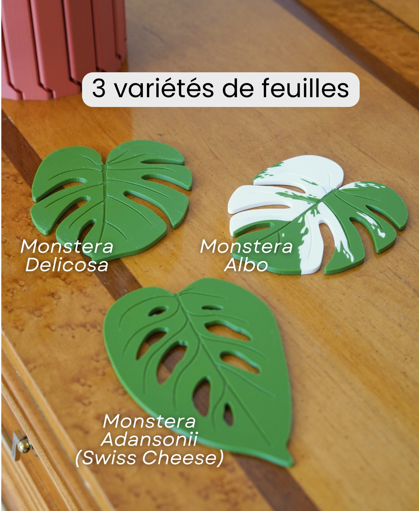 Dessous-de-verre Monstera - 3 variétés de feuilles