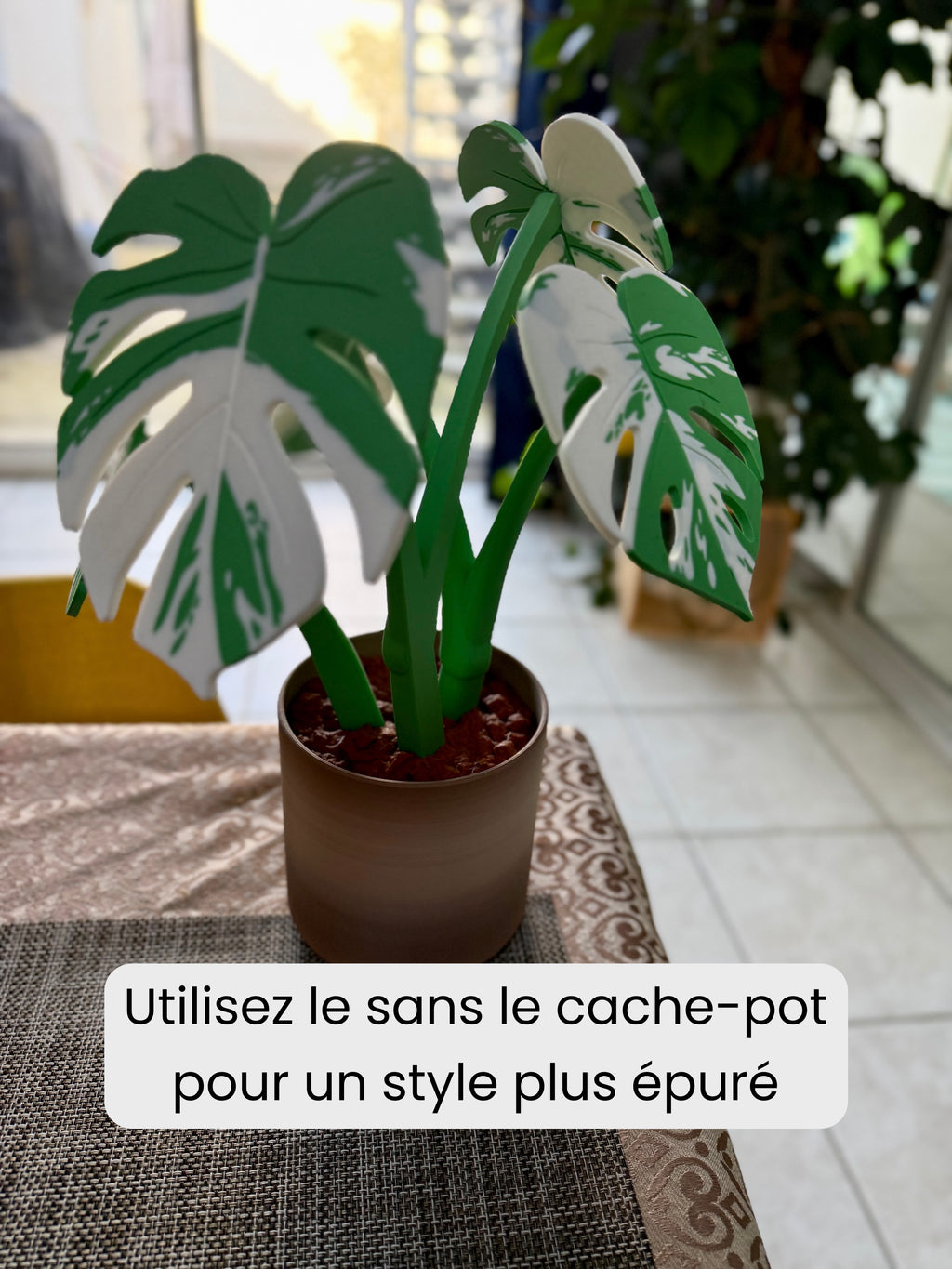 Dessous-de-verre Monstera - Description cache-pot optionnel