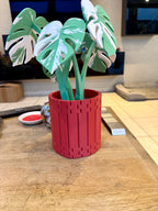 Dessous-de-verre Monstera - Image 1
