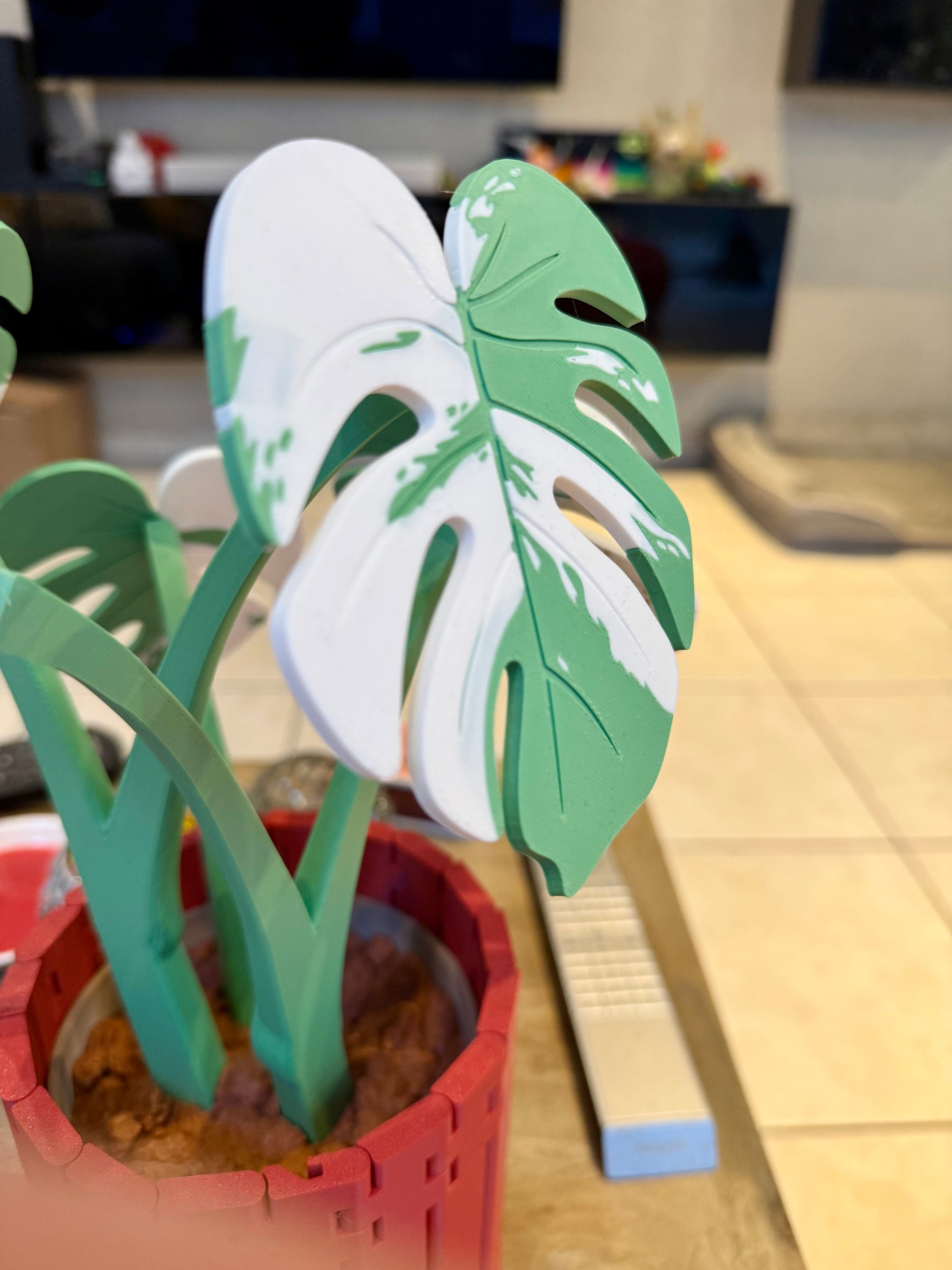 Dessous-de-verre Monstera - Image 3