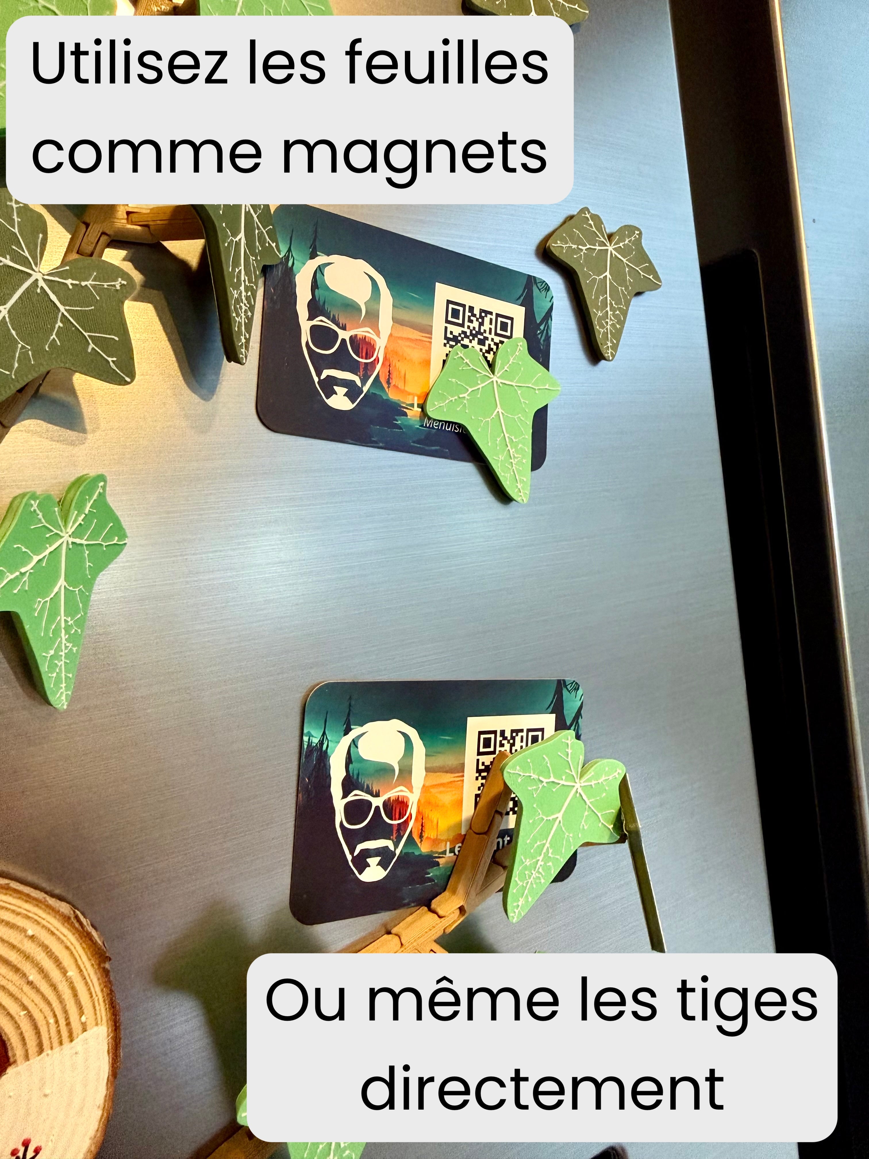 Magnets Lierre Réfrigérateur - Vignette Description