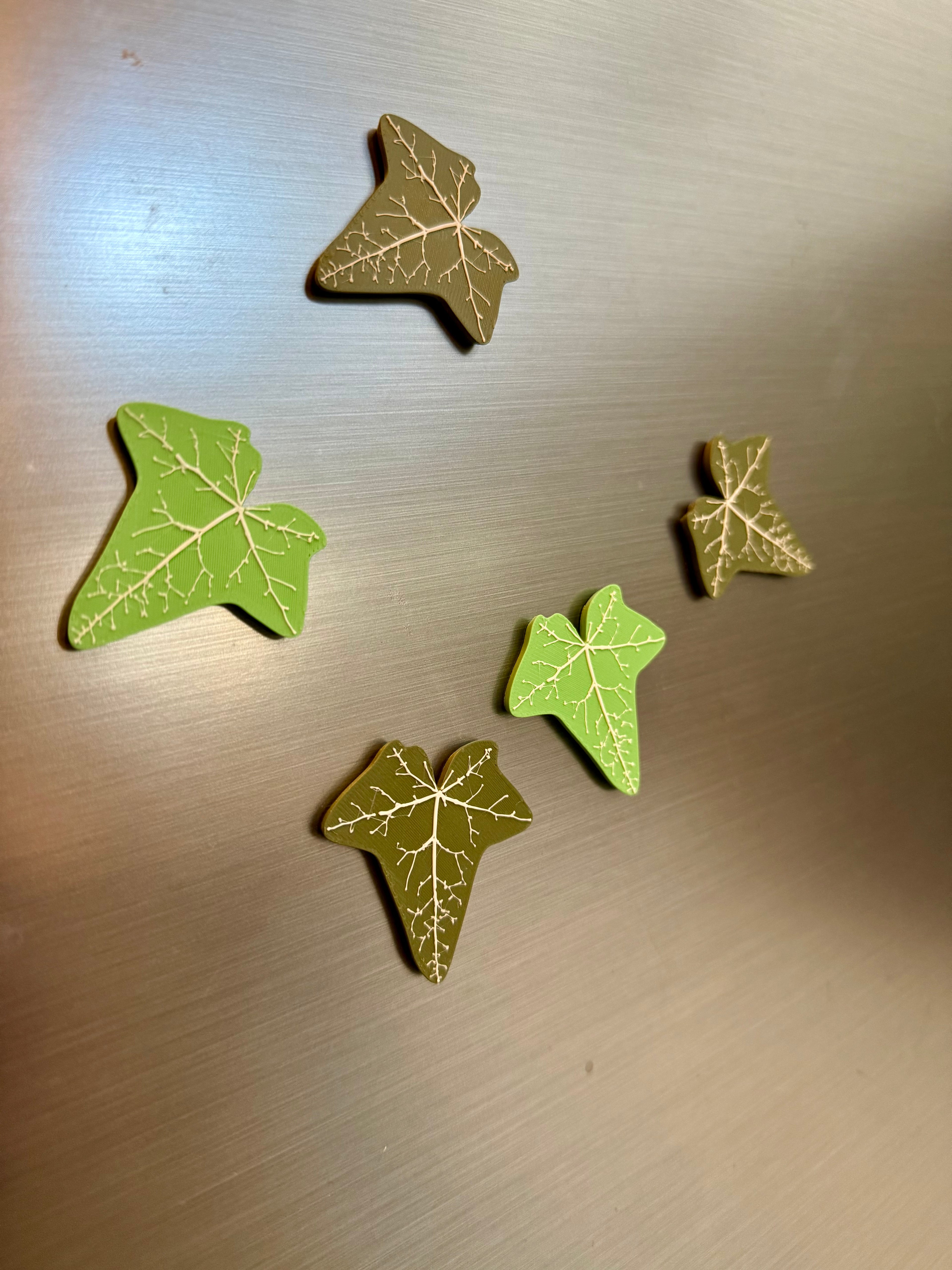 Magnets Lierre Réfrigérateur - Gros plan feuilles