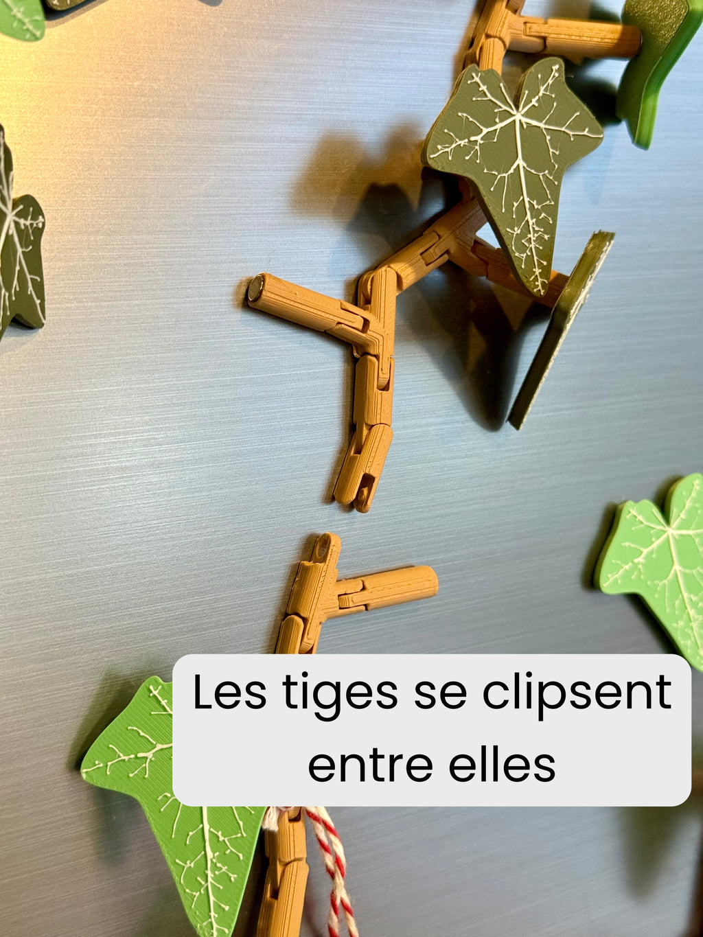 Magnets Lierre Réfrigérateur - Connection branches