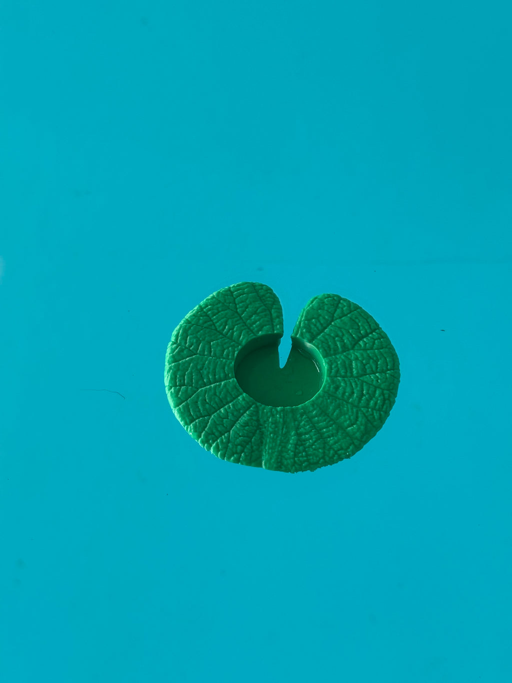 Supports flottants pour verre à vin et bougies, imitation nénuphar, imprimé en 3D