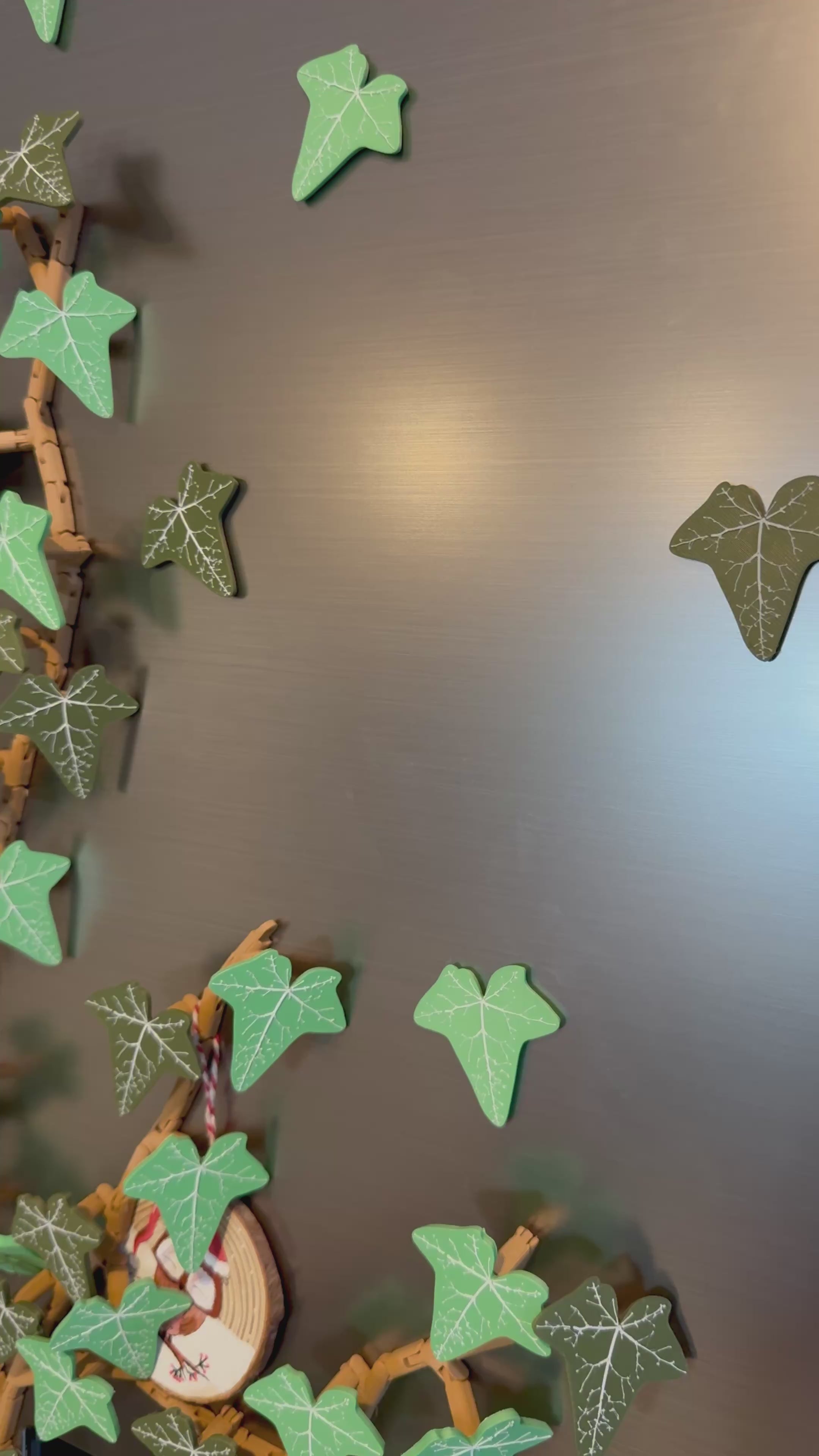 Magnets Lierre Réfrigérateur - Vidéo ajout de branche