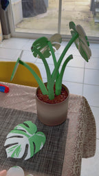 Dessous-de-verre Monstera - Vidéo aimants