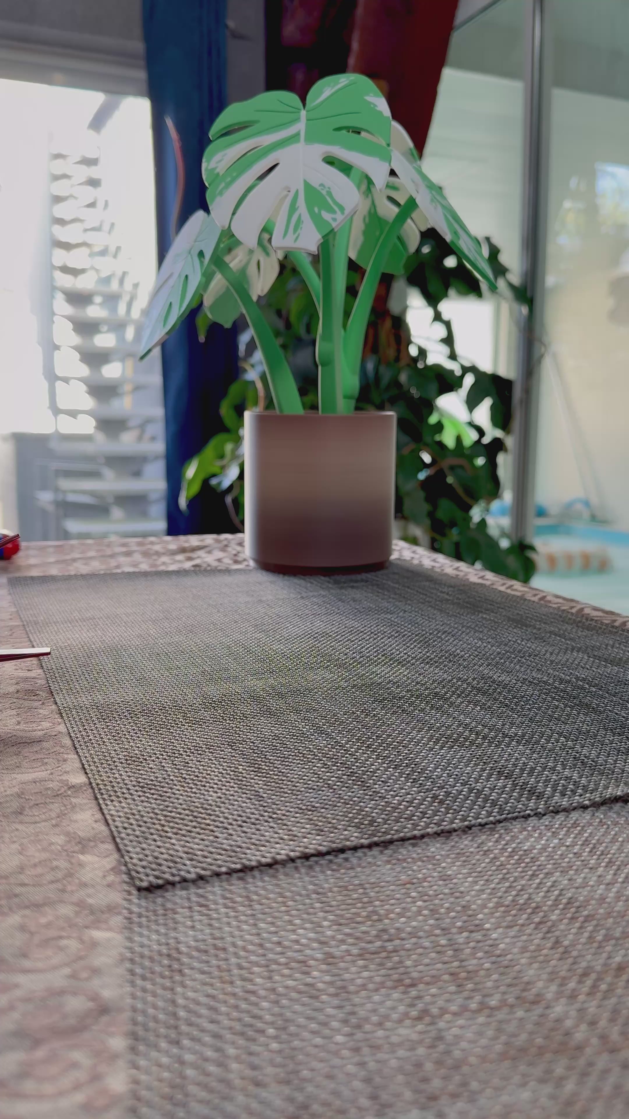 Dessous-de-verre Monstera - Vidéo Mise en place Cache-pot