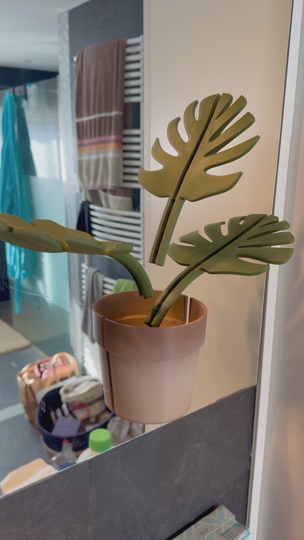 Monstera Miroir - Vidéo d'installation