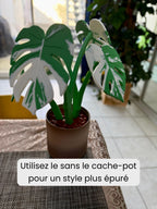 Sous-verres Monstera magnétiques, fausse plante imprimée en 3D, décoration de table, personnalisable - Le Front Fuyant