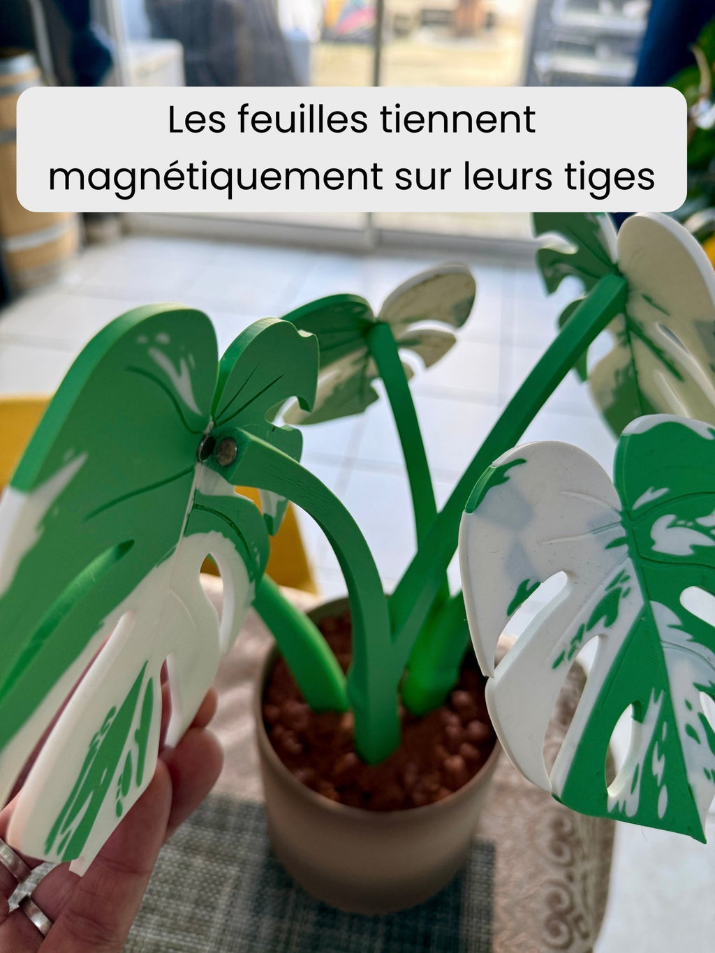 Sous-verres Monstera magnétiques, fausse plante imprimée en 3D, décoration de table, personnalisable - Le Front Fuyant