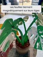 Sous-verres Monstera magnétiques, fausse plante imprimée en 3D, décoration de table, personnalisable - Le Front Fuyant