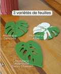Sous-verres Monstera magnétiques, fausse plante imprimée en 3D, décoration de table, personnalisable - Le Front Fuyant